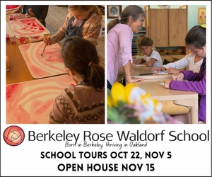 Berkeley Rose Waldorf ad