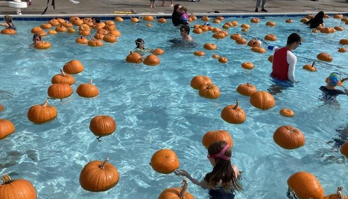 Families in pool with pumpkins floating around