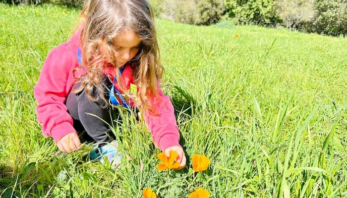 child looking at wildflowers
