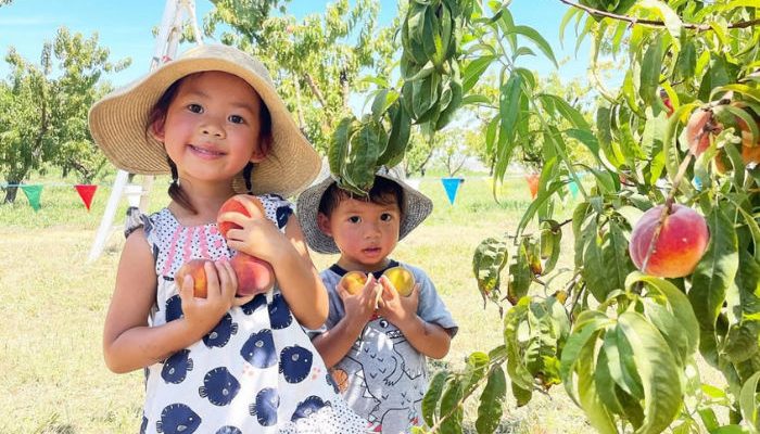 two children holding peaches in orchard cropped for size